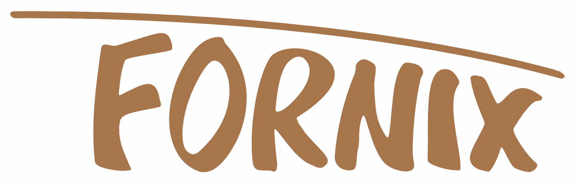 Neuropsykologikeskus Fornix Oy -logo